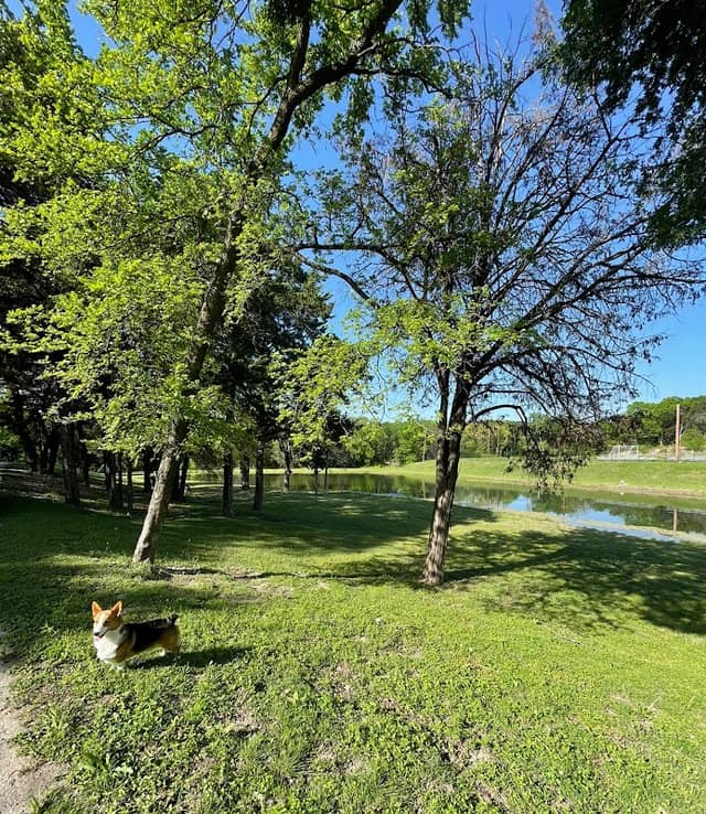 Berry Pond - Image 2