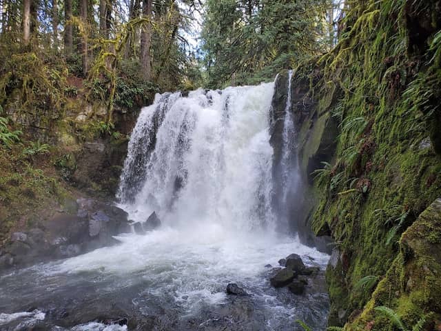 Majestic Falls - Image 1