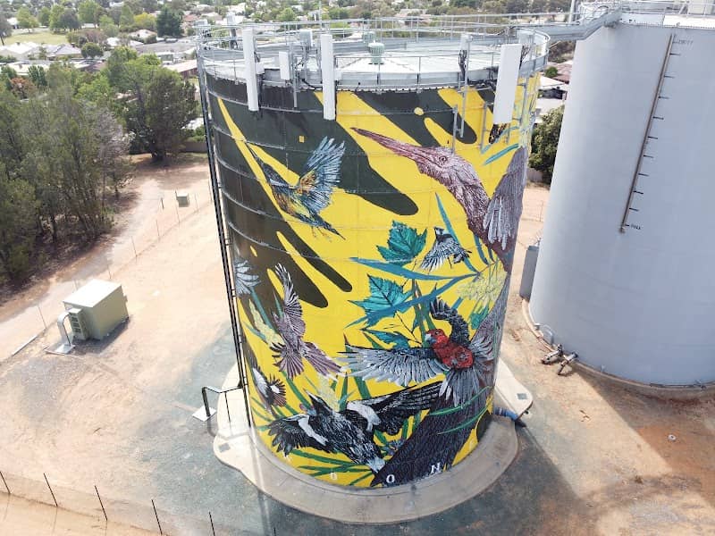 Tahnee & Kenz Moama Water Tower Art - Image 1