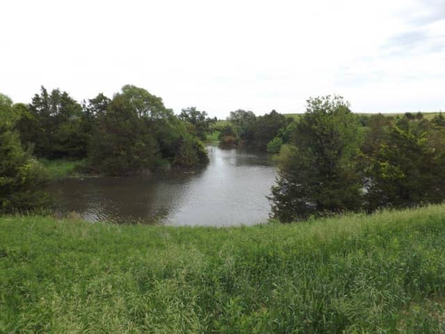 Ringneck Ridge Wildlife Area - Image 1