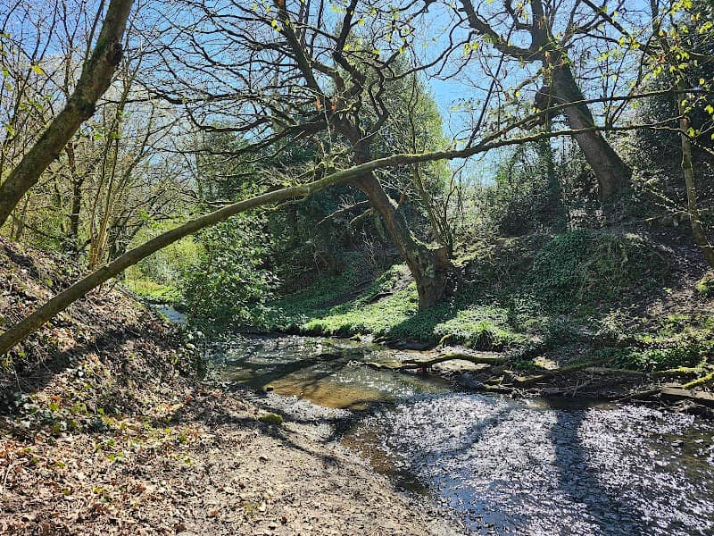 Cunningham Clough Local Nature Reserve - Image 1
