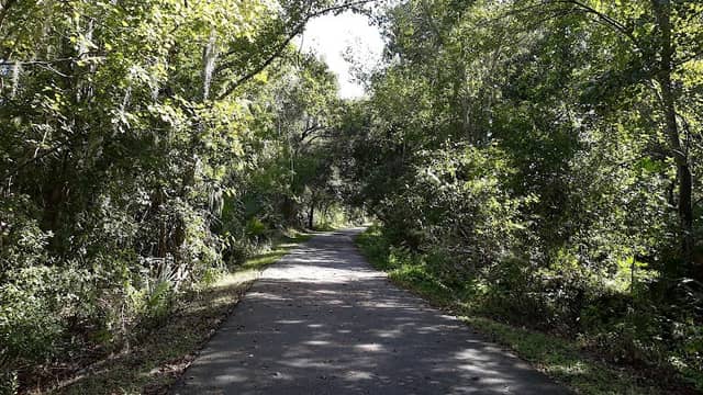 Black Hammock Trailhead Vitacourse 2000 - Image 1