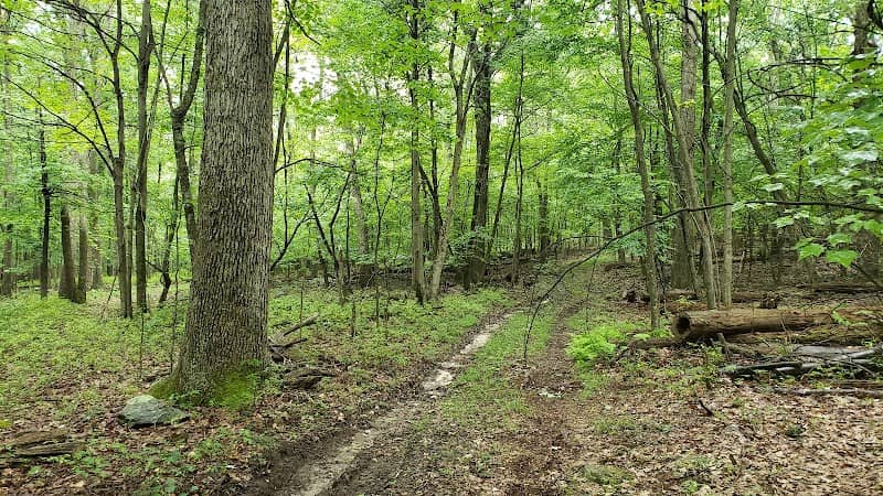 Short Mountain Wildlife Management Area - Image 1