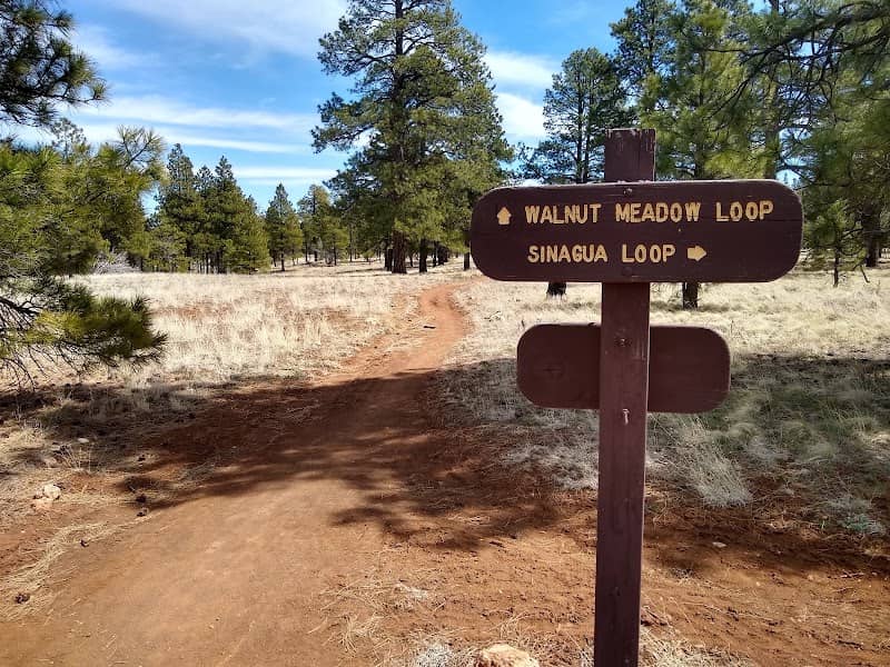 Campbell Mesa Loop Trails - Image 1