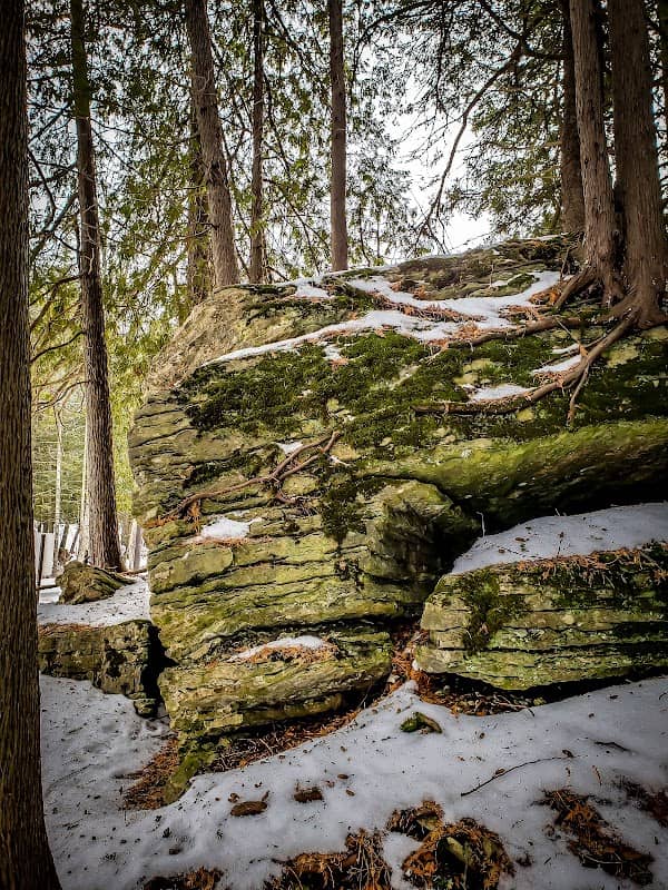 Meridian Park State Natural Area - Image 2