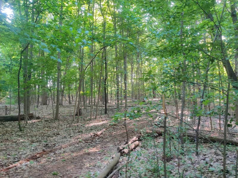 Philipp J Huber Park - Image 2