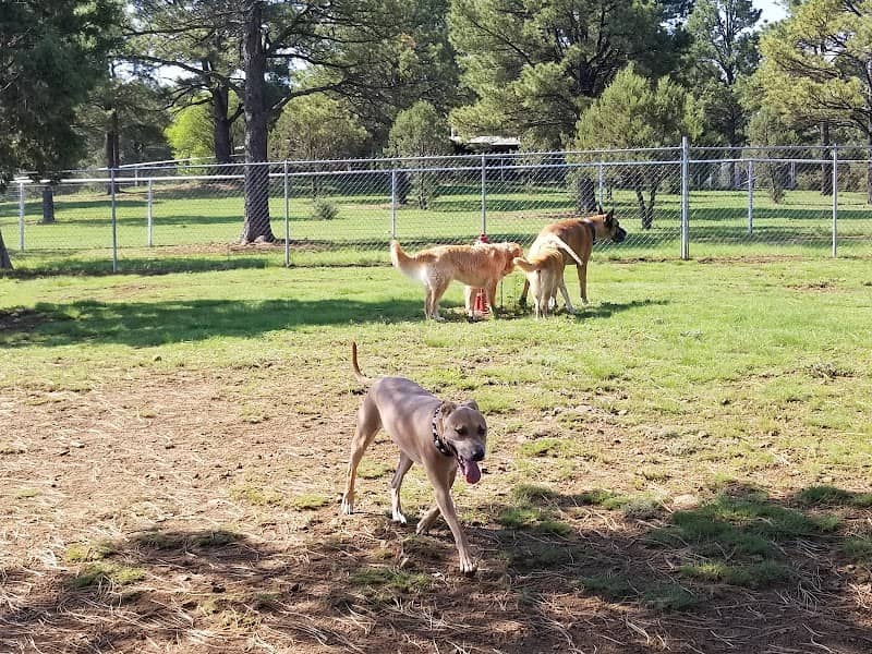 Ruidoso Dog Park - Image 1