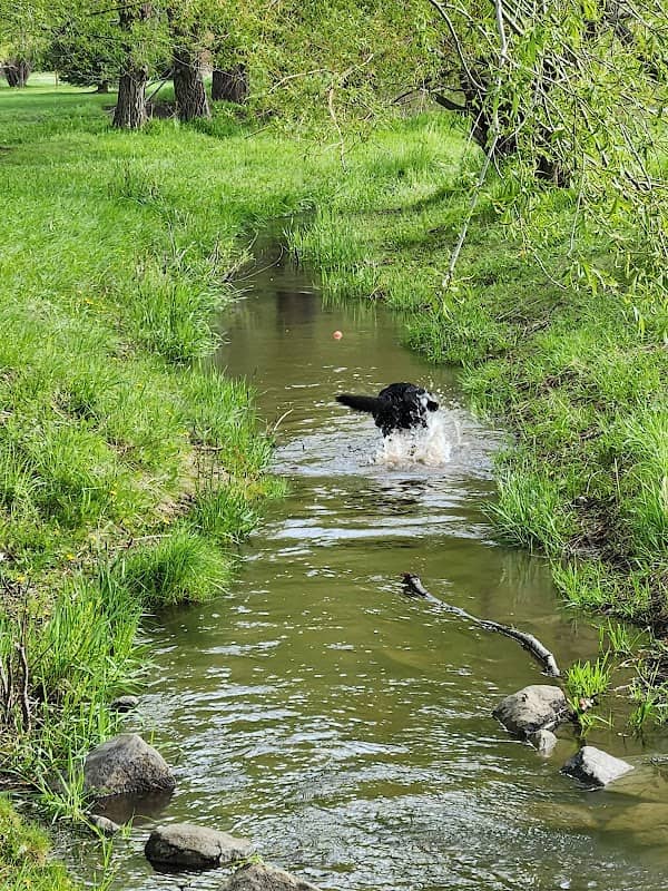 Alder Creek - Image 1