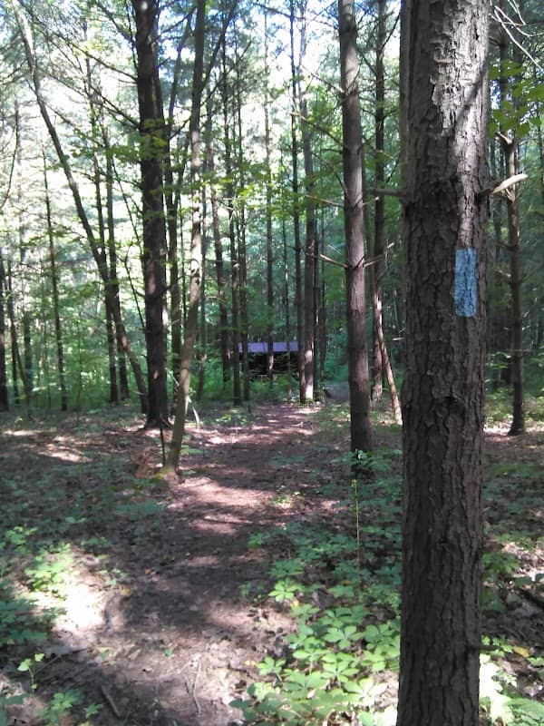 North Country Trail Camelot Road Trailhead - Image 2