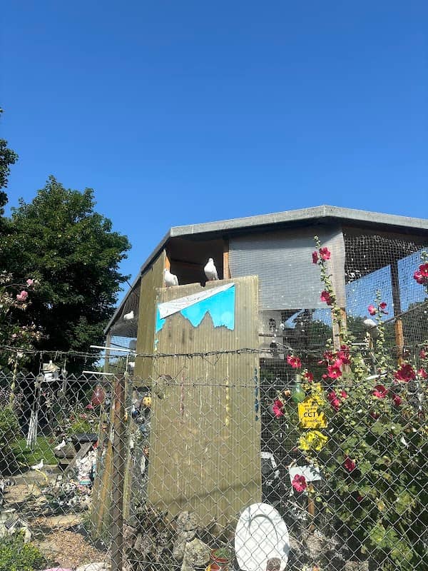 Elaines Fairy Garden - Image 1