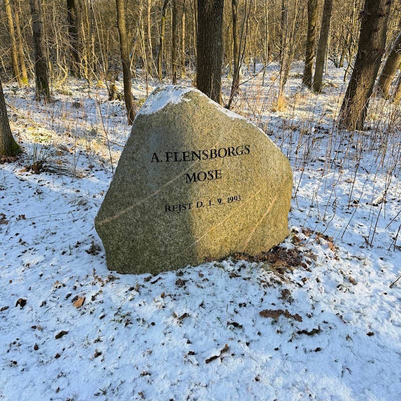 A Flensborgs Mose - Image 1