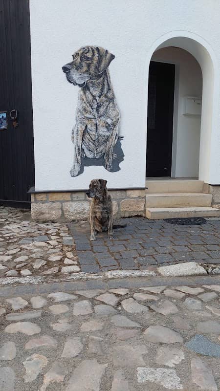 Kunst in der Klausstrasse - Image 1