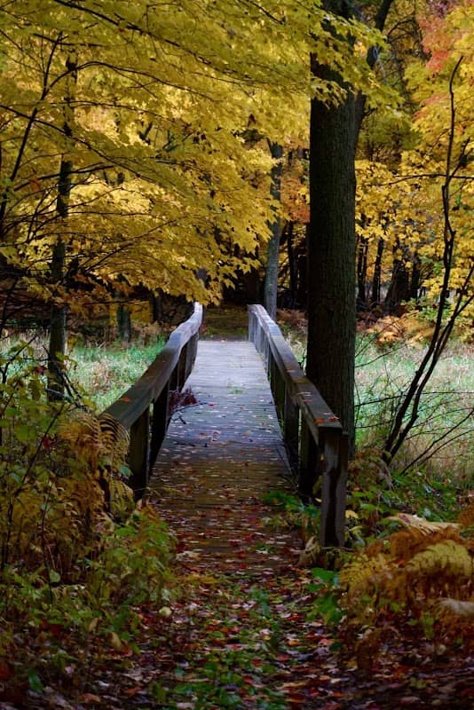 Linwood School Forest And Community Park - Image 1