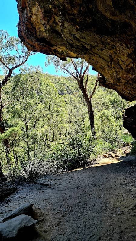 Lyrebird Gully circuit - Image 1