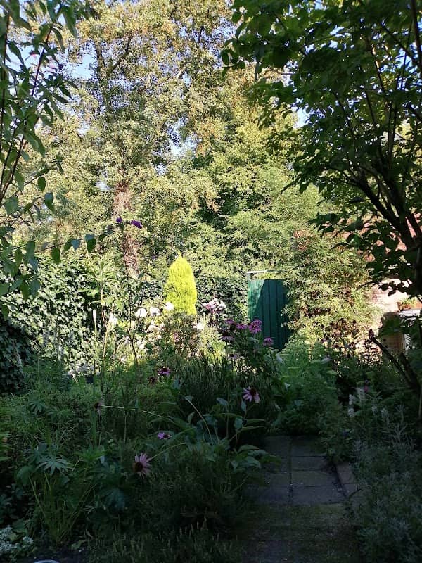 De Verfraaiing - Image 2