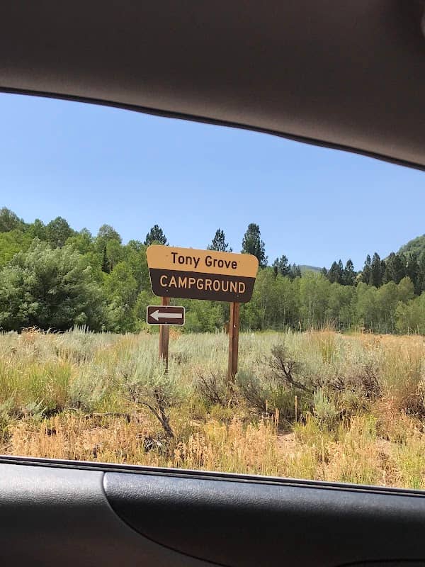 Cache National Forest Sign - Image 1