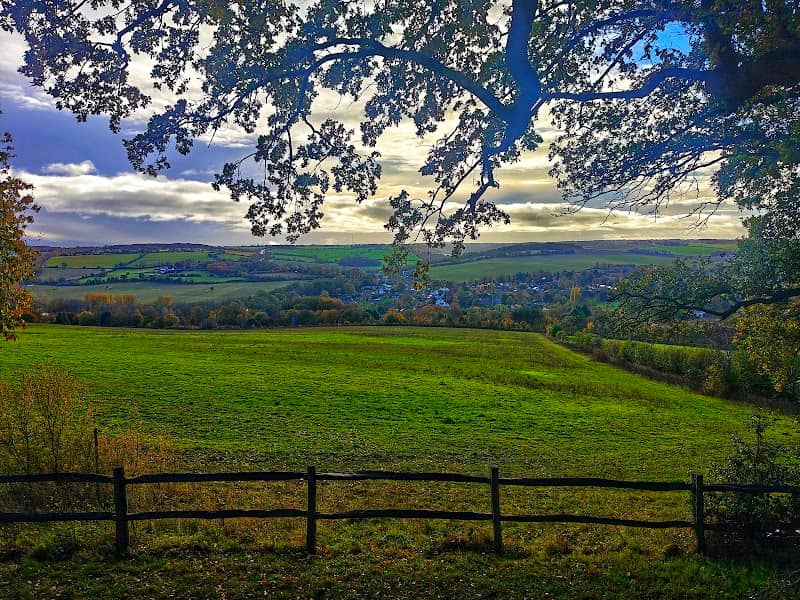 Farningham Woods Nature Reserve - Image 1