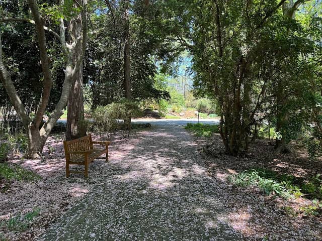 Botanical Gardens - Image 2