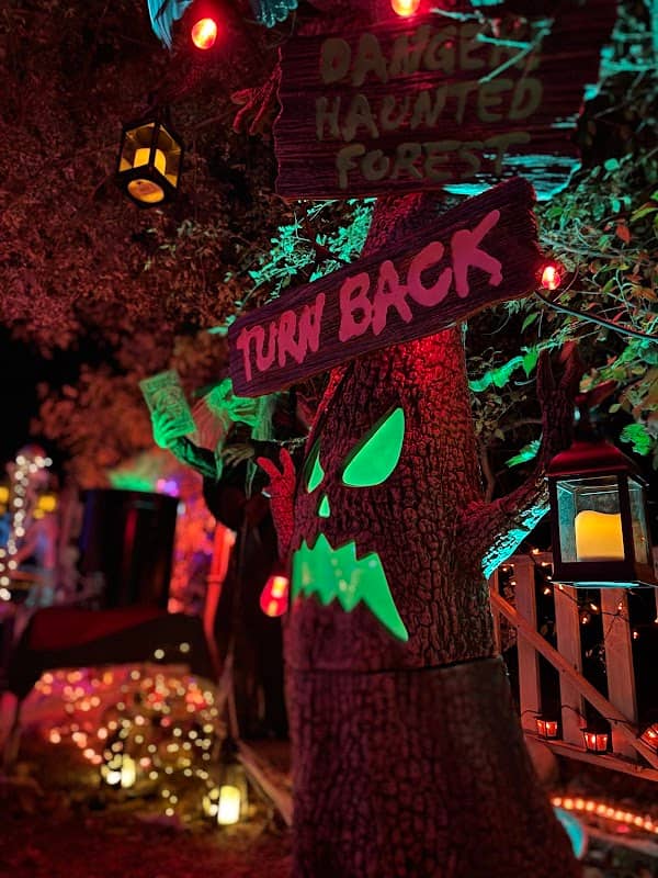 The Halloween House - Image 2