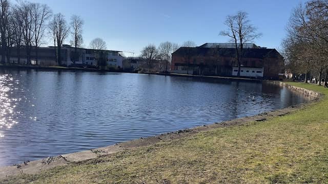 Teich - Image 1