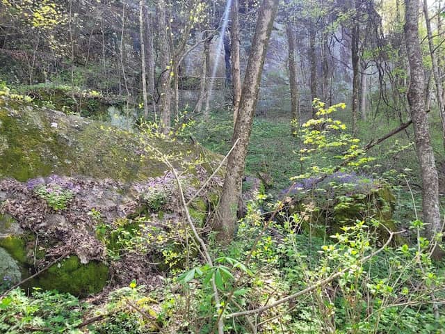 Bon Air Mountain Historical Society - Image 1