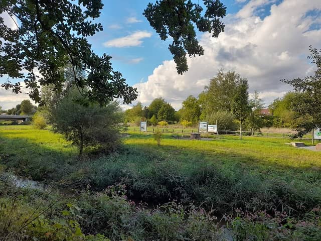 Wasserinsel Alzenau - Image 1