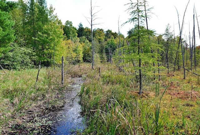 Diamond Lake State Natural Area - Image 2