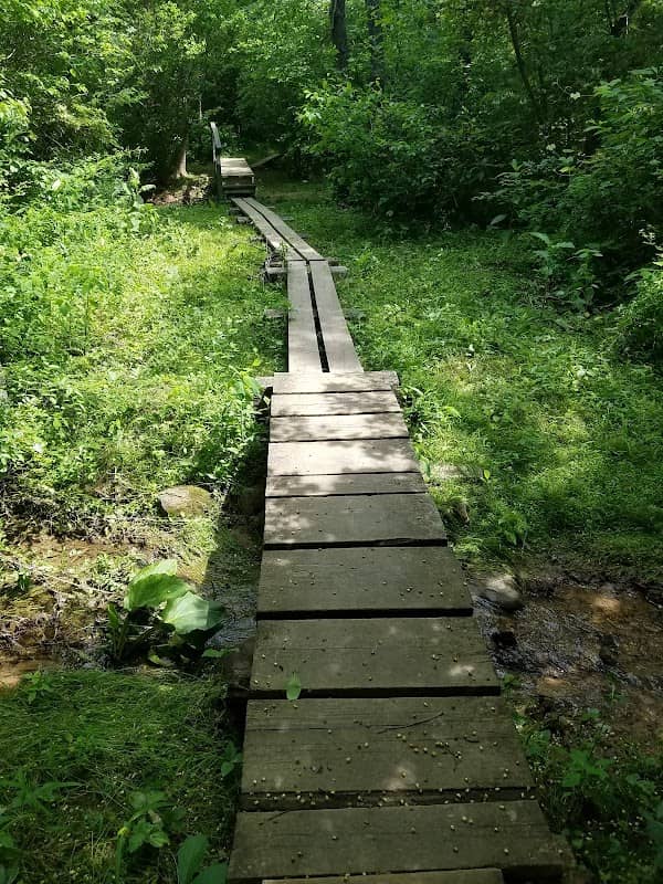 Trumbo Hollow Hike Trailhead - Appalachian Trail - Image 1