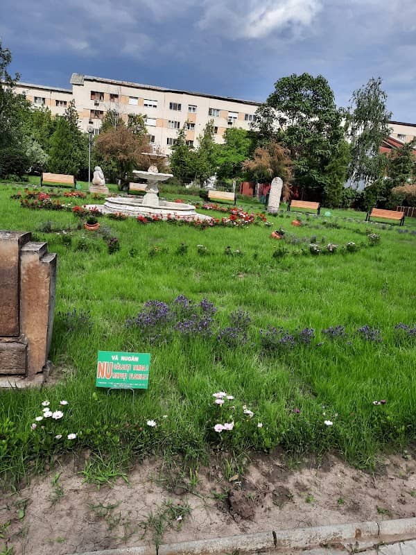 Central Park - Image 1
