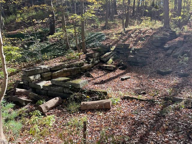 Lawrence Grist Mill - Image 1