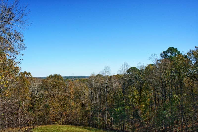 Little Mountain Viewpoint - Image 1