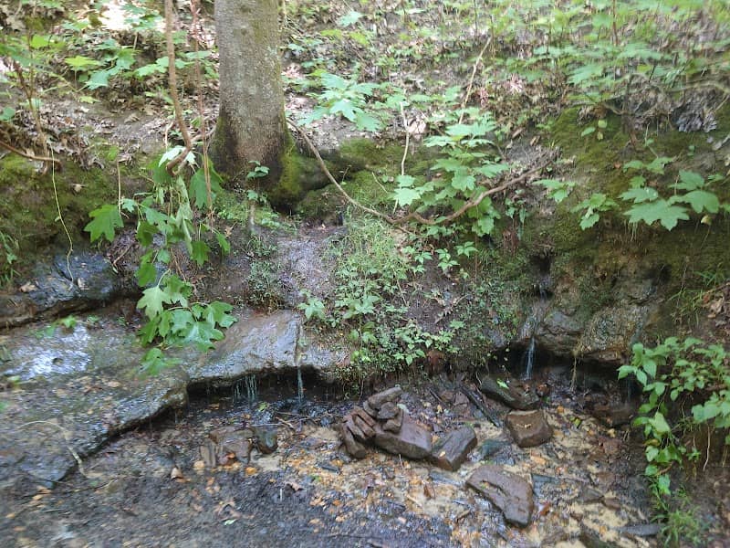 Little Mountain Viewpoint - Image 2