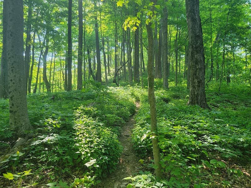 Chimney Top Trailhead - Image 1