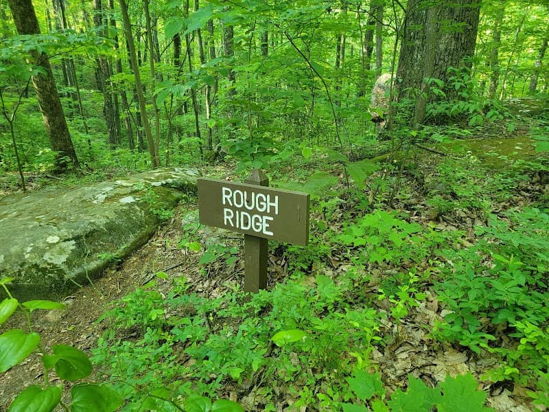 Chimney Top Trailhead - Image 2