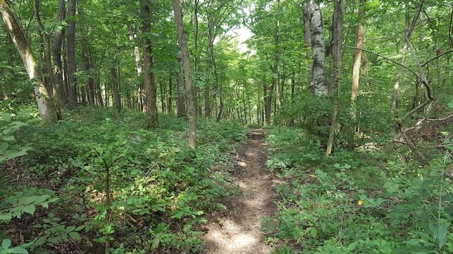 La Riviere Park - Image 1