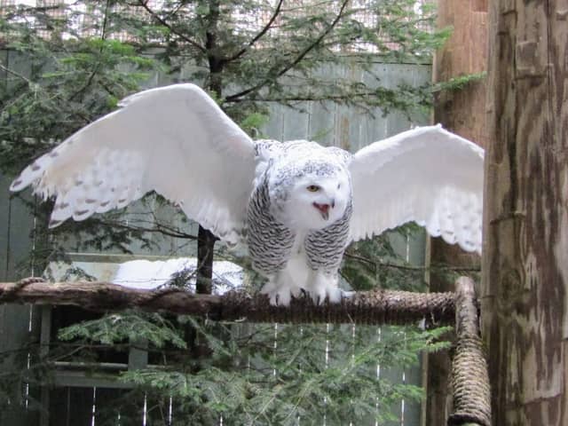 VINS Nature Center - Image 2