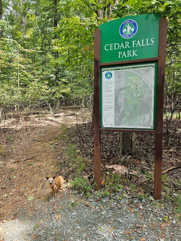 Trails - Image 1