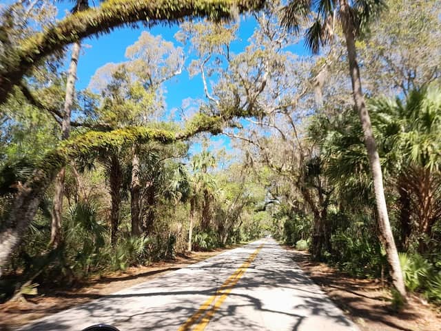 Ormond Scenic Loop & Trail - Image 1