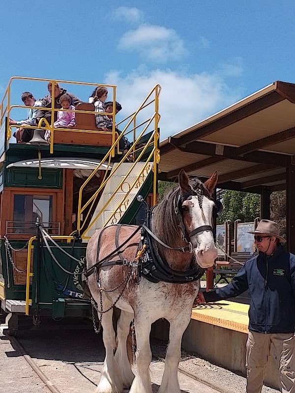 Victor Harbor Horse Drawn Tramway - Image 2