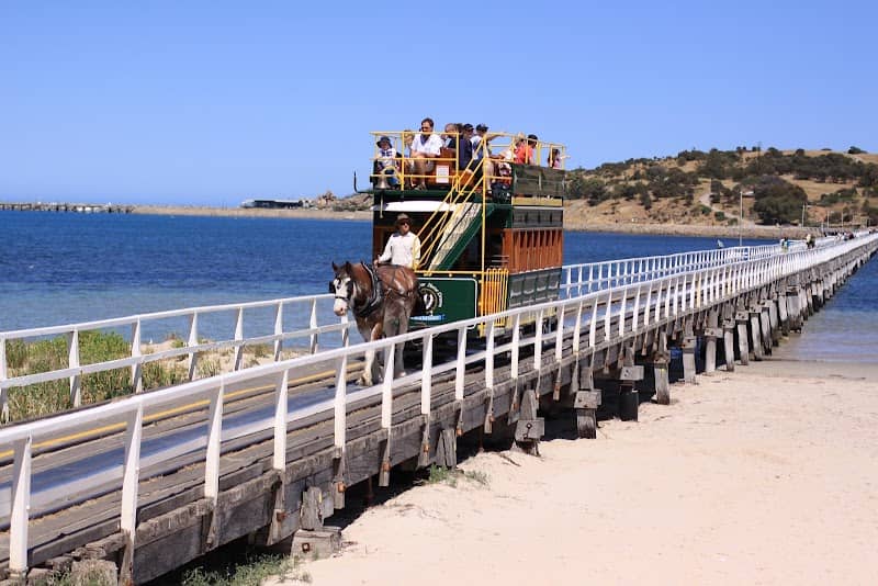 Victor Harbor Horse Drawn Tramway - Image 3