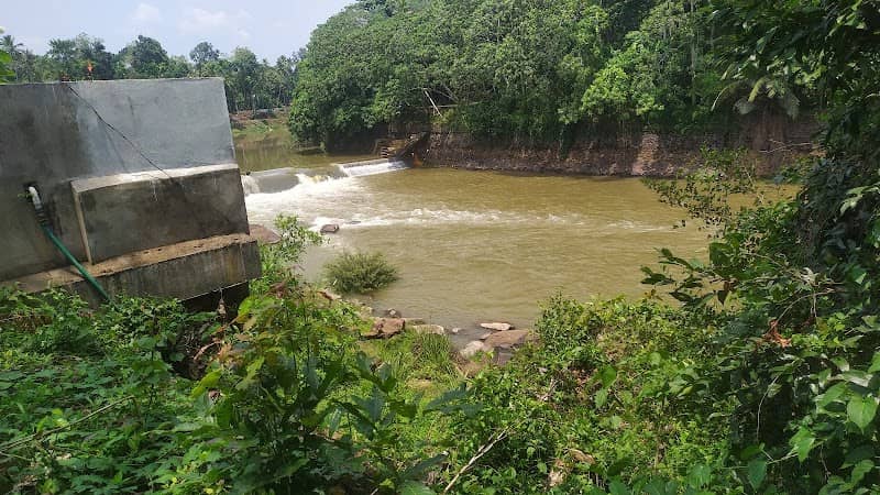 Aattuvanchikkadu Reserve Forest - Image 1