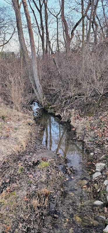 Dove Run - Image 2