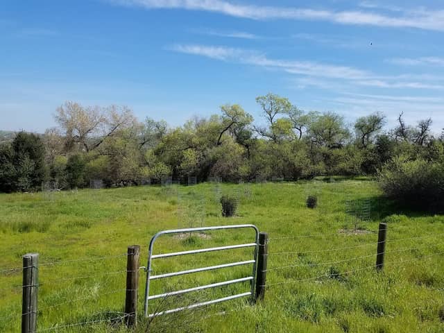 Adobe Springs Nature Preserve - Image 2