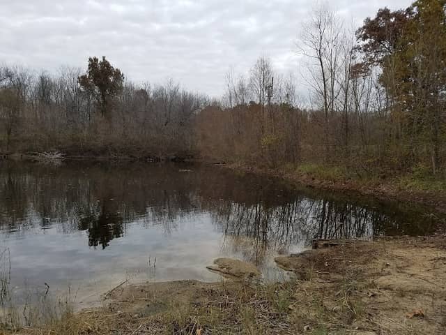 Chamberlain Lake Nature Preserve - Image 1