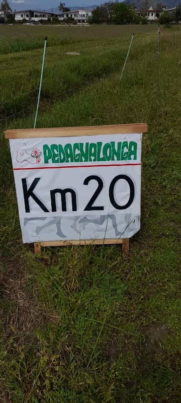 Pedagnalonga - Image 1