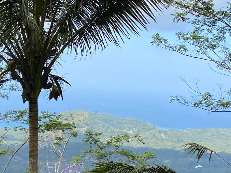 Bukit Abah Hill - Image 1