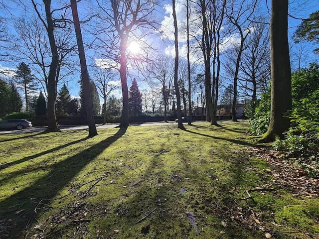 - Königsplatz Park - Image 1