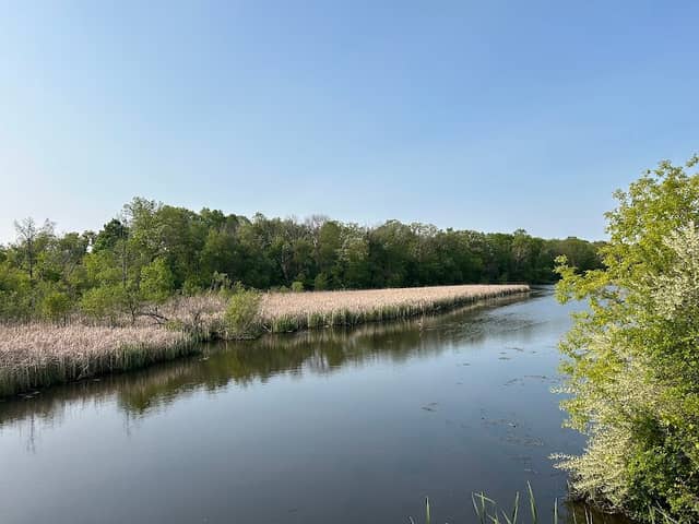 Bugline Trail - Fireman’s Park Trailhead - Image 1