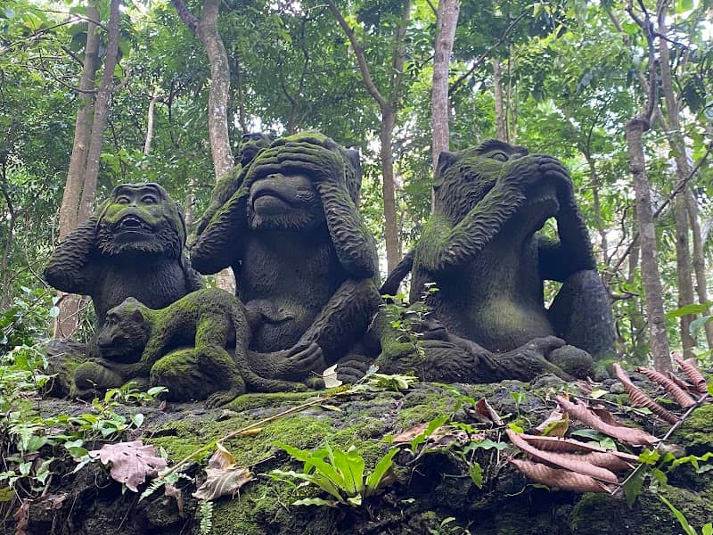 Sacred Monkey Forest Sanctuary - Image 2