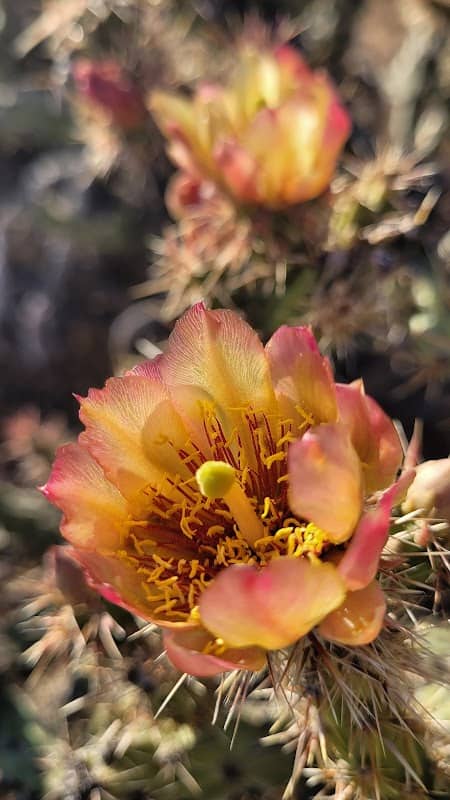 P. A. Seitts Preserve - Image 2